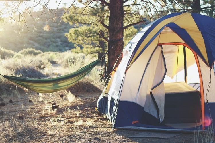 Camp
