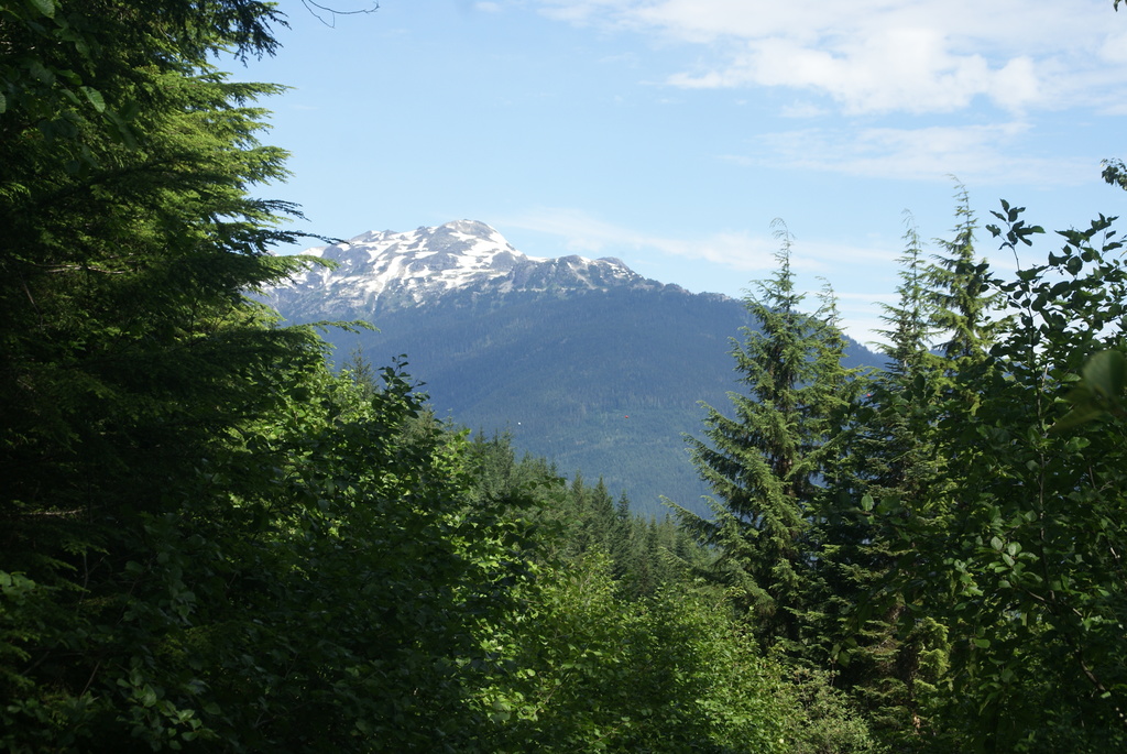 Singing Pass Trail, Whistler