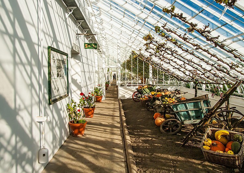 Greenhouse