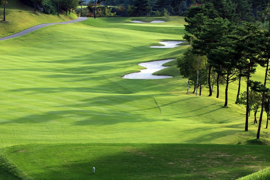 Green fields of the course