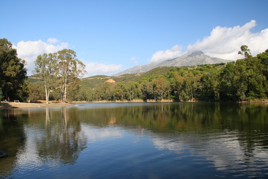 LAGO DE LAS TORTUGAS MARBELLA (9)