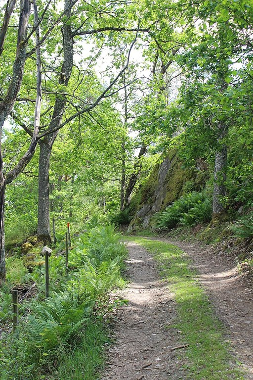Ängsö hiking trail