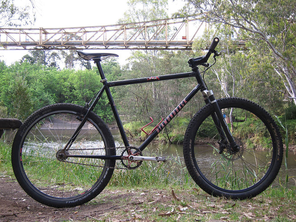 Single-speed mountain bike