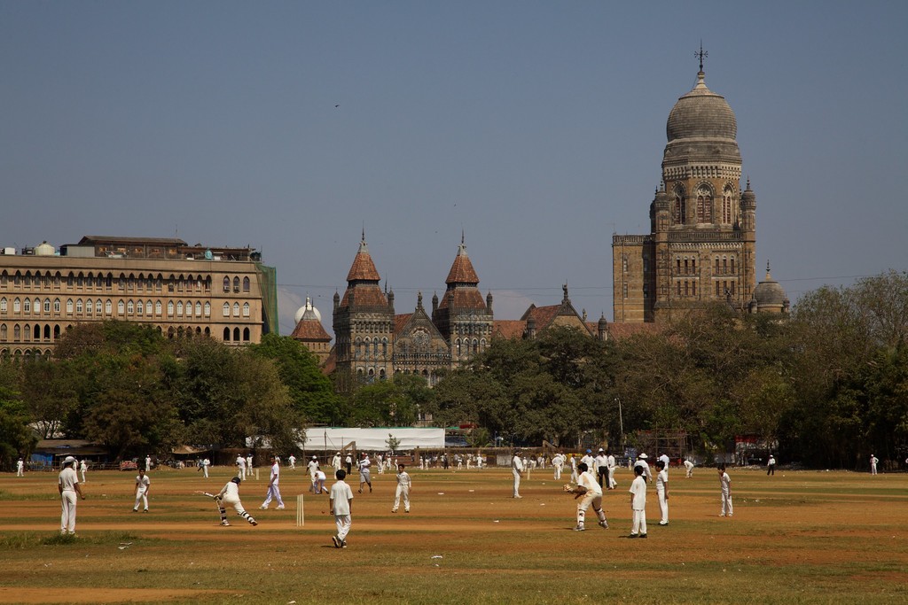 Saturday Cricket