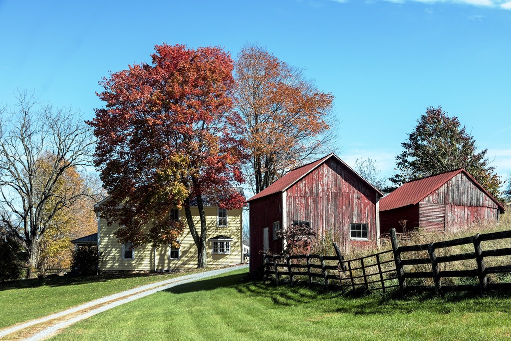 Little Red House