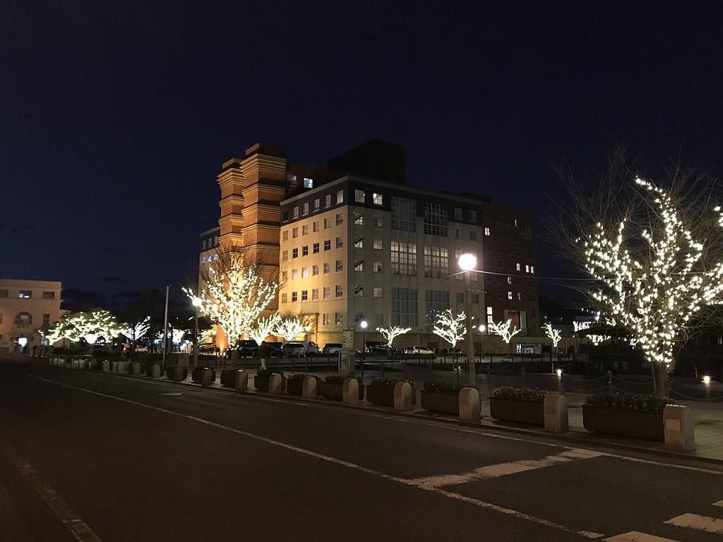 Moji Port Hotel at night 20181227-1