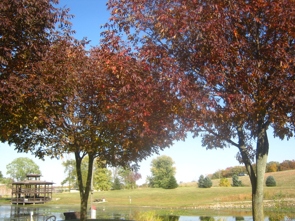 Mansfield Park - panoramio (1)