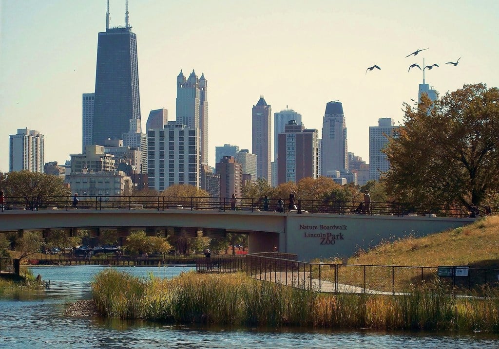 Nature Boardwalk Lincoln Park