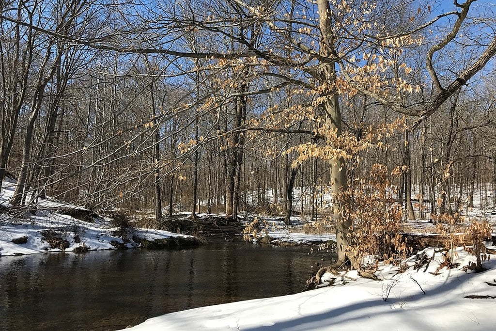 Washington Valley Park, NJ - East Branch Middle Brook, looking north