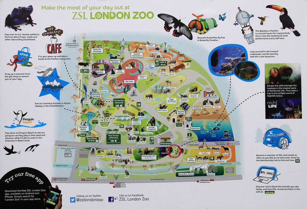 London Zoo 11-03-2013