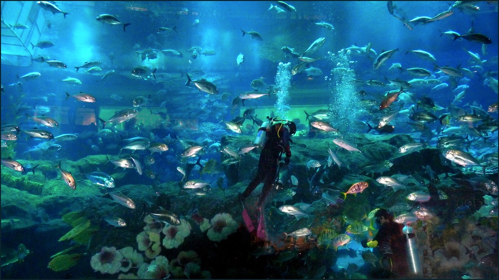 The super aquarium - Dubai Mall - panoramio