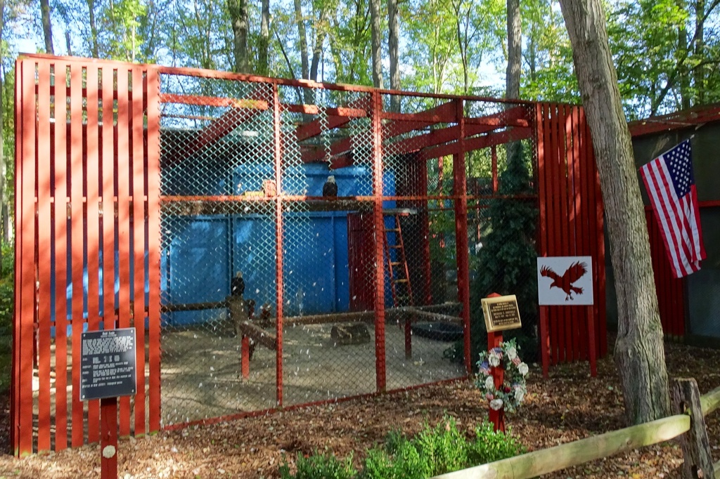 Raptor Trust Bald Eagle cage