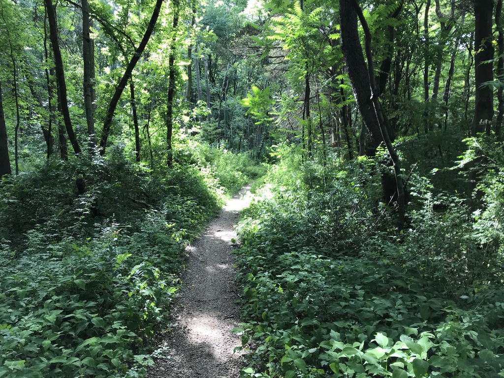 Mercer County Park Mountain Bike Trail