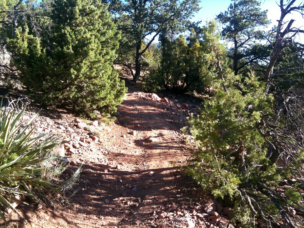 Mountain Biking The Dale Ball Trails, Santa Fe, NM, USA