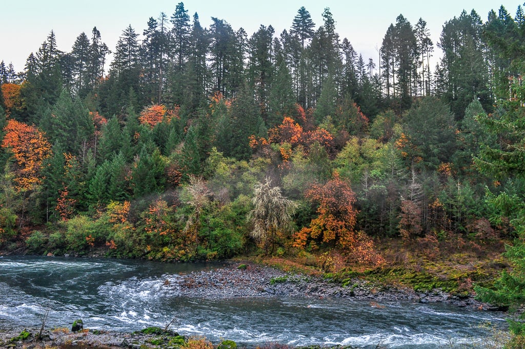 North Umpqua River