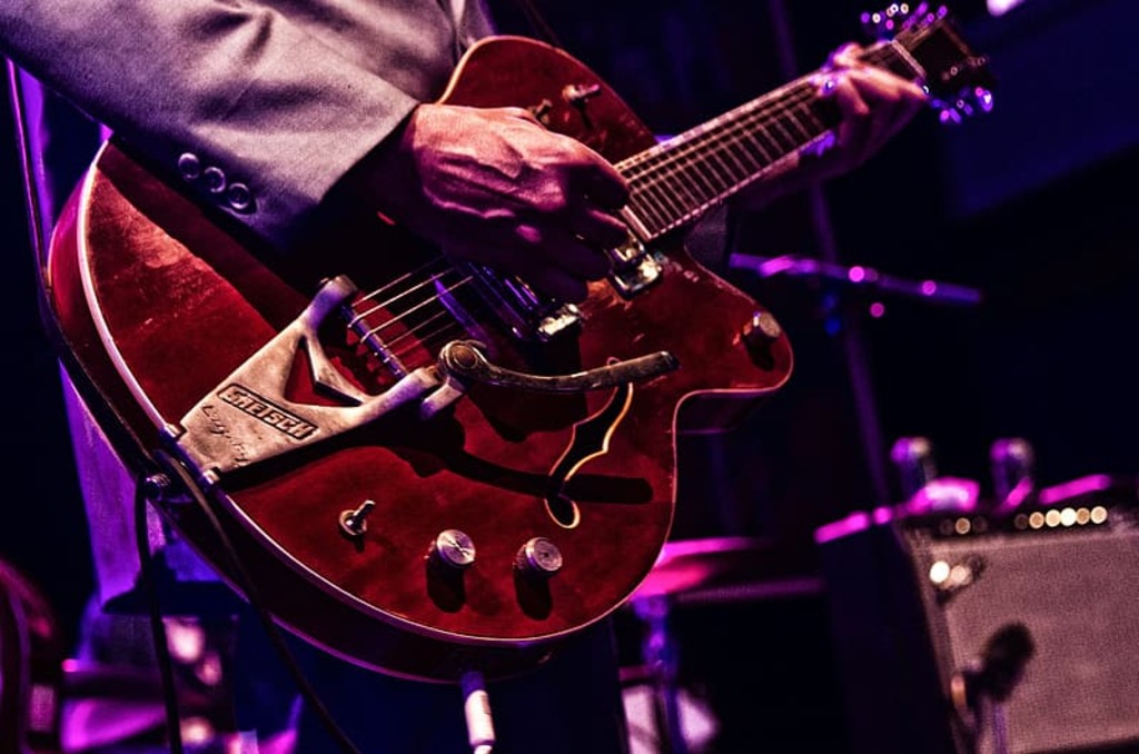 Jazz Guitar Musician