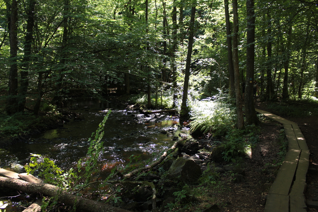 Nature trail