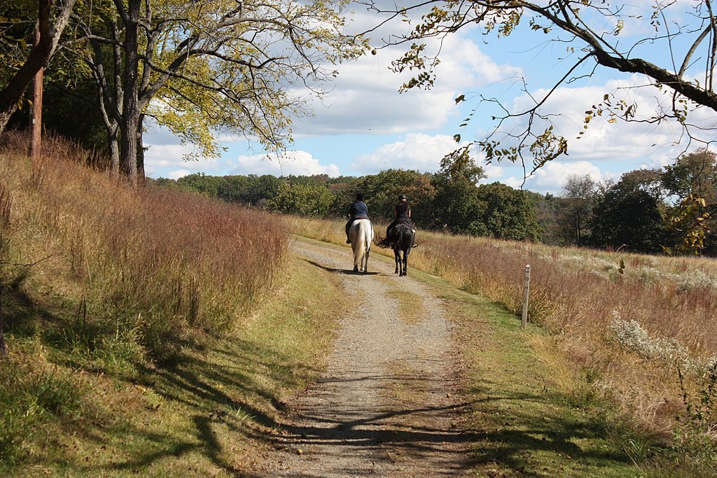 Horses on the Perkiomen Trail