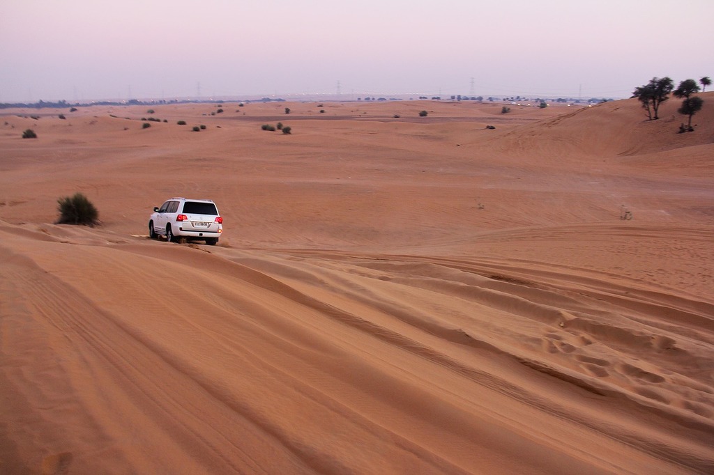 Desert safari