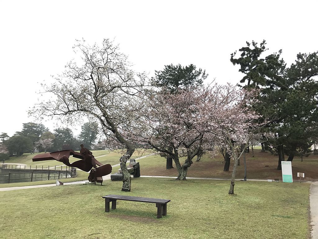 View in Tokiwa Park