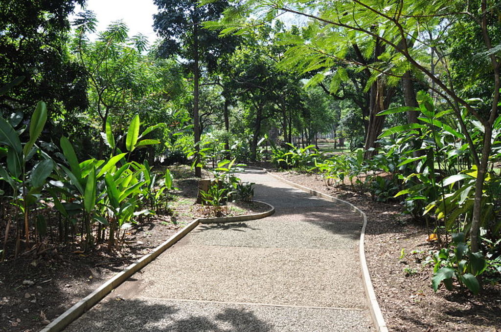 Joaquin Antonio Uribe Botanical Garden