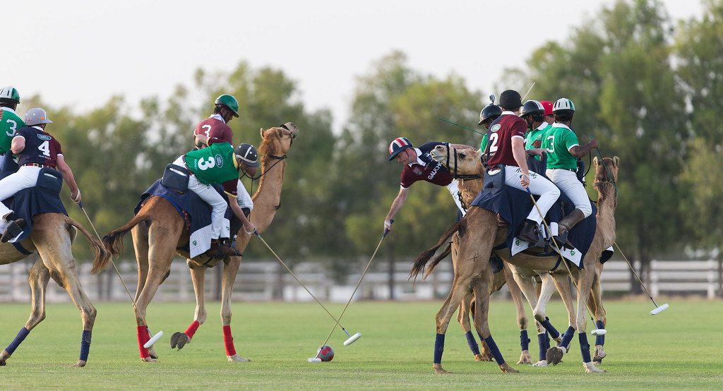 British Polo Day in Abu Dhabi, UAE
