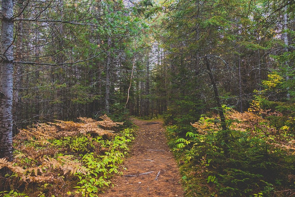 Hiking Trail 