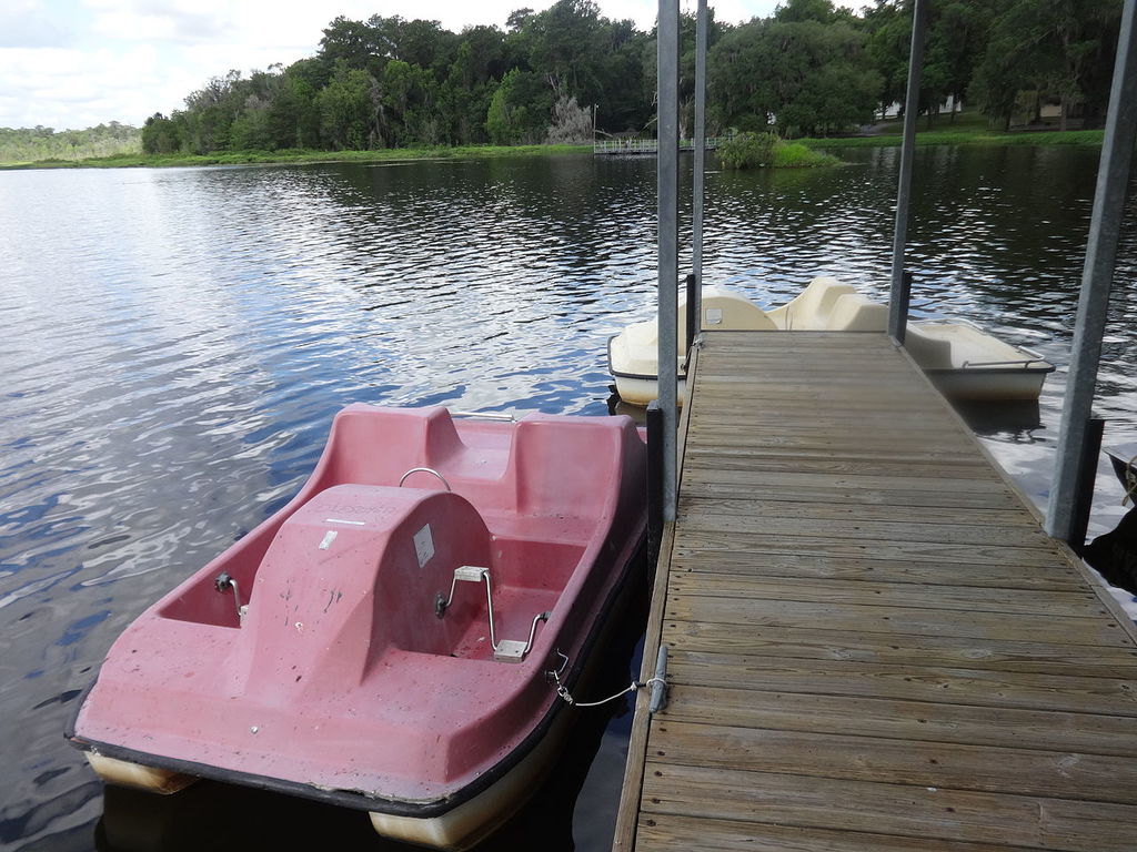 paddle boat