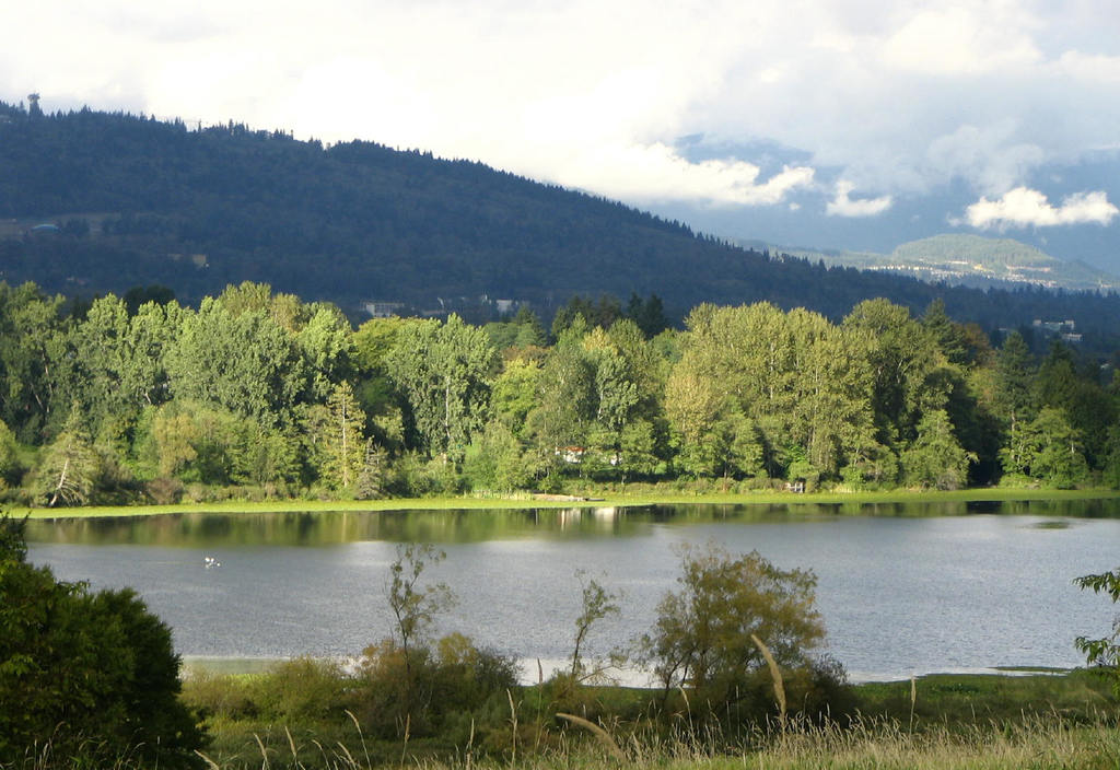 Deer Lake in Burnaby
