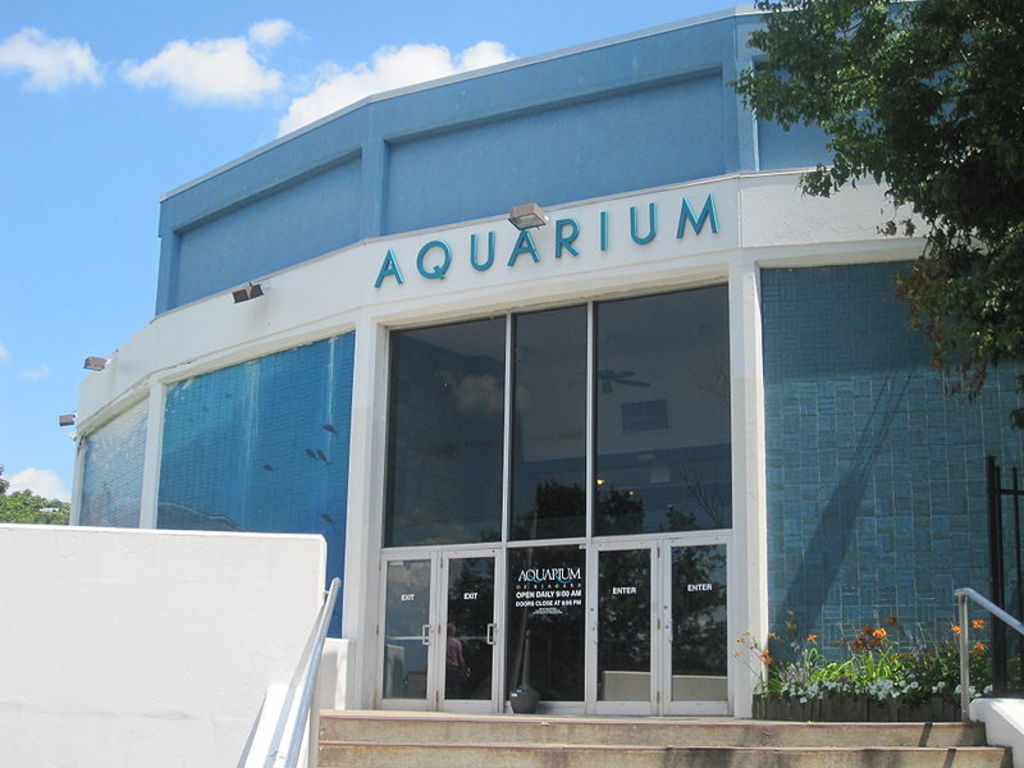 Aquarium at Niagara Falls IMG 1390