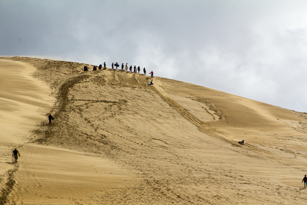 NZ140415 Te Paki Sand Dunes 02