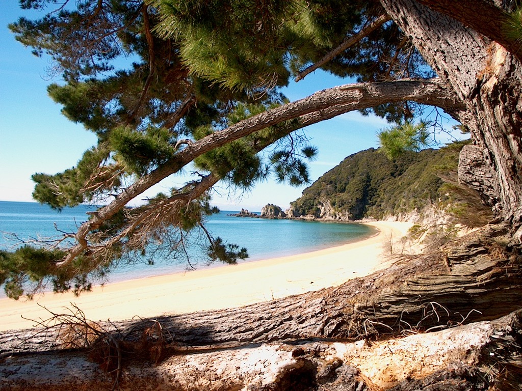 AbelTasmanBeach