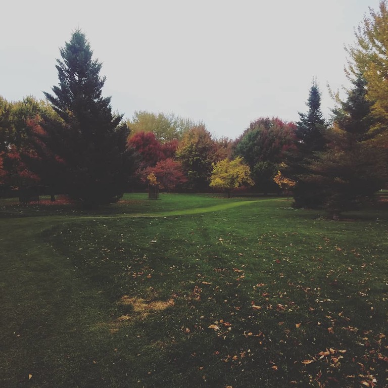 things to do in yakima | discover 1000 native, exotic plant species at yakima area arboretum