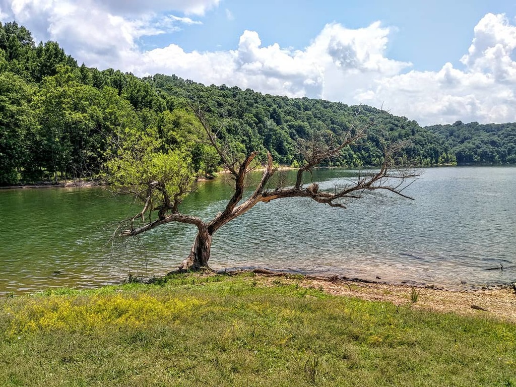 16 Best Things To Do In Campbellsville Kentucky Trip101