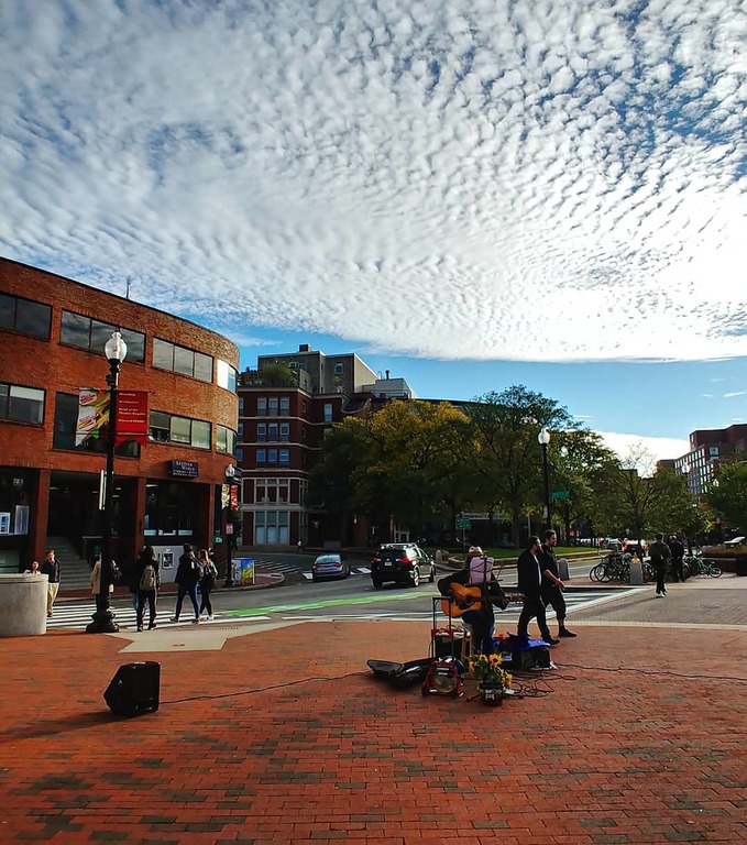 things to do in cambridge ma | walk through the buzzing brattle square