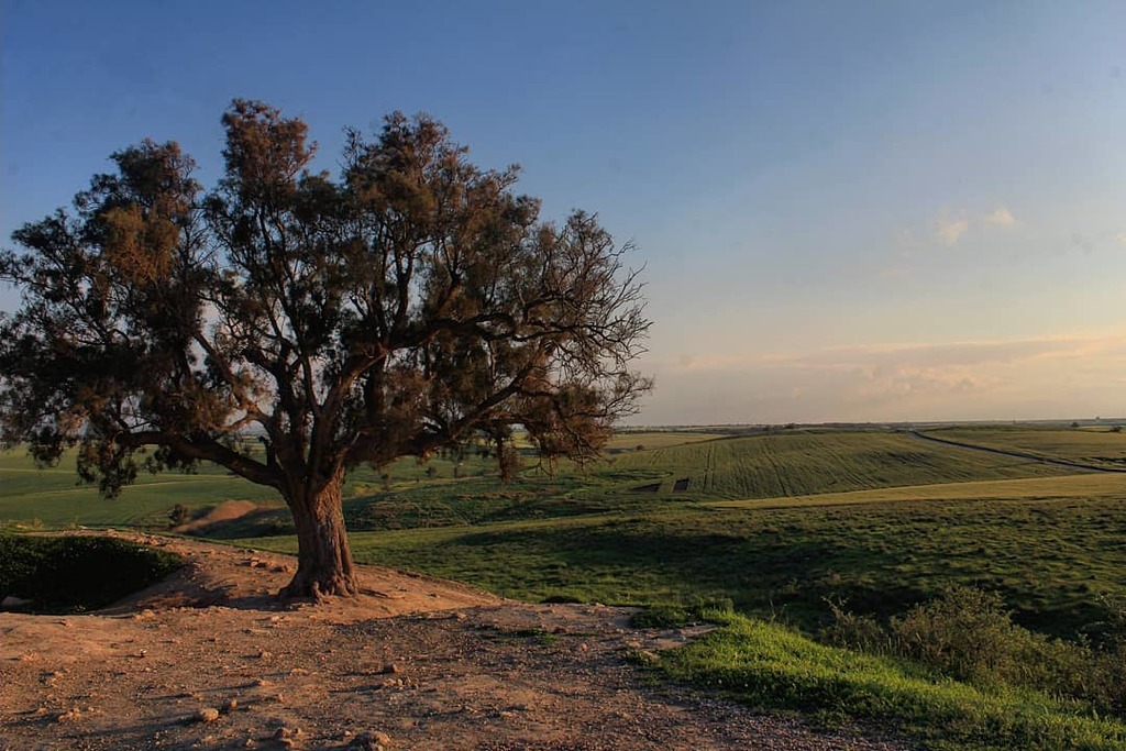 hike israel national trail