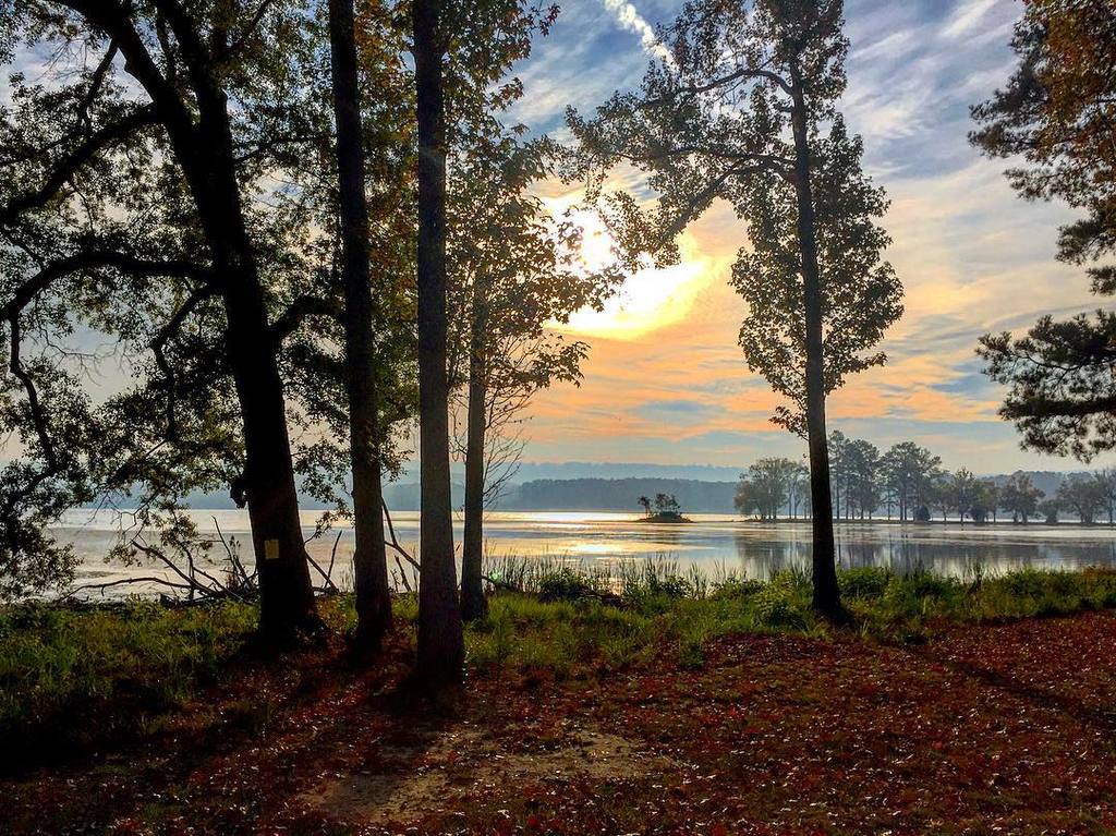 Top 16 Things To Do In Scottsboro, Alabama Trip101