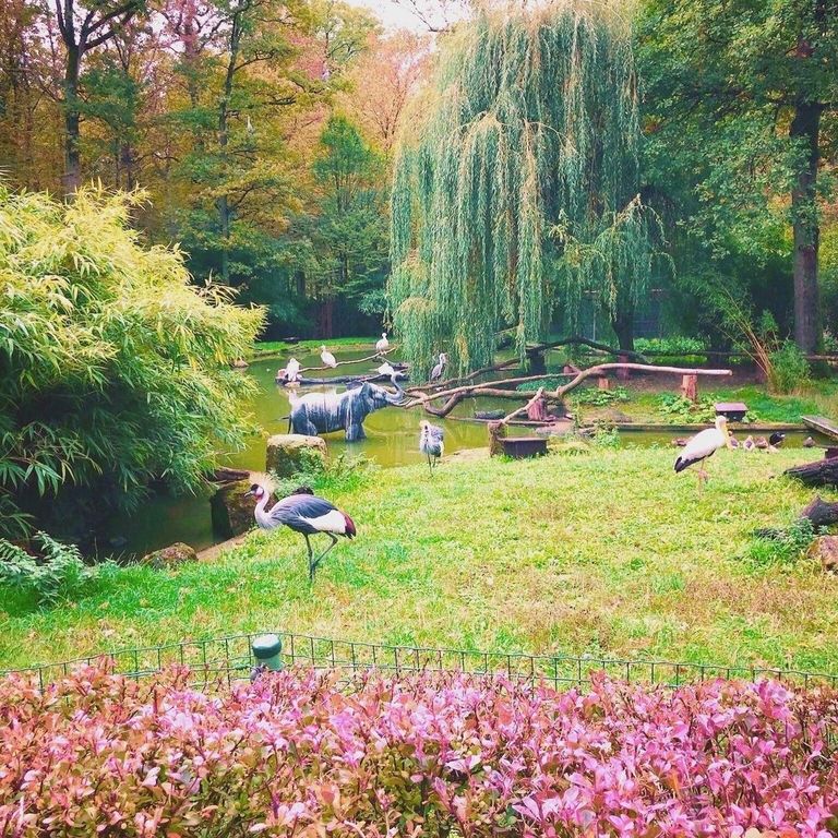 best places to visit in luxembourg | parc merveilleux