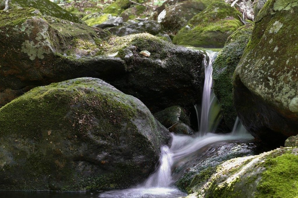 If you're tired of conventional hot springs, head over to a wild spring instead 