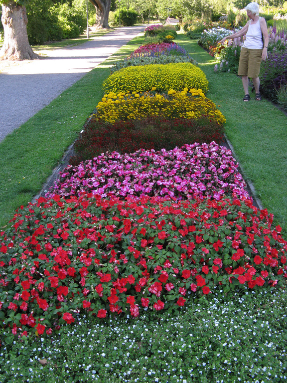 Lund Botanical Garden 1