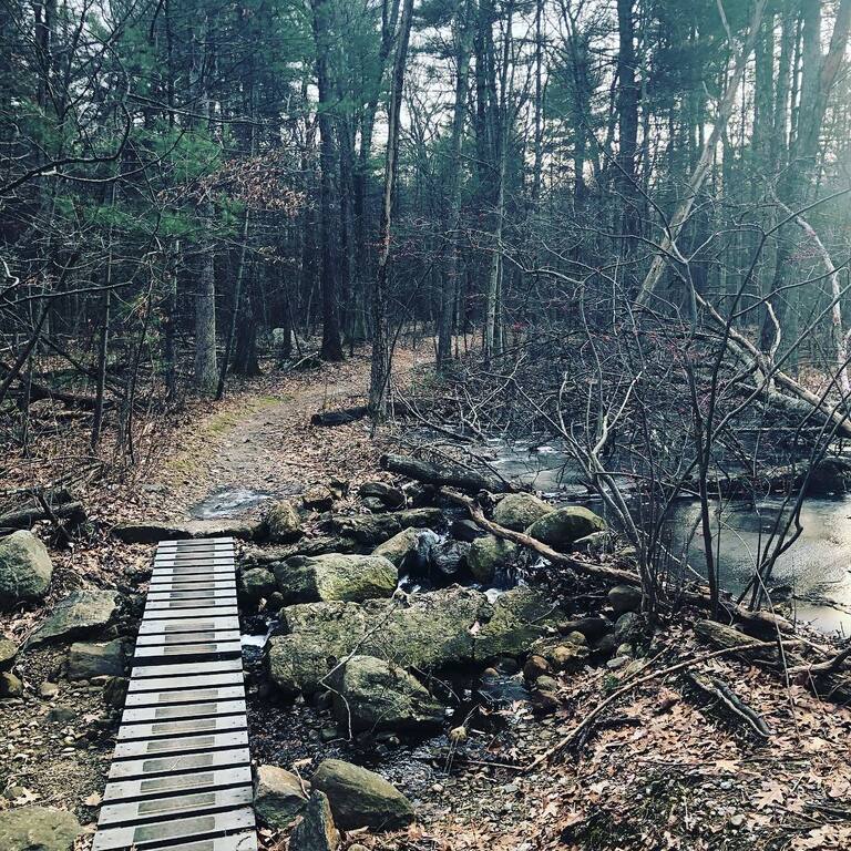 things to do in billerica ma | view the wildlife at billerica state forest