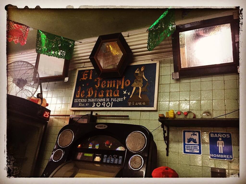 things to do in xochimilco | grab a cocktail at pulqueria temple of diana