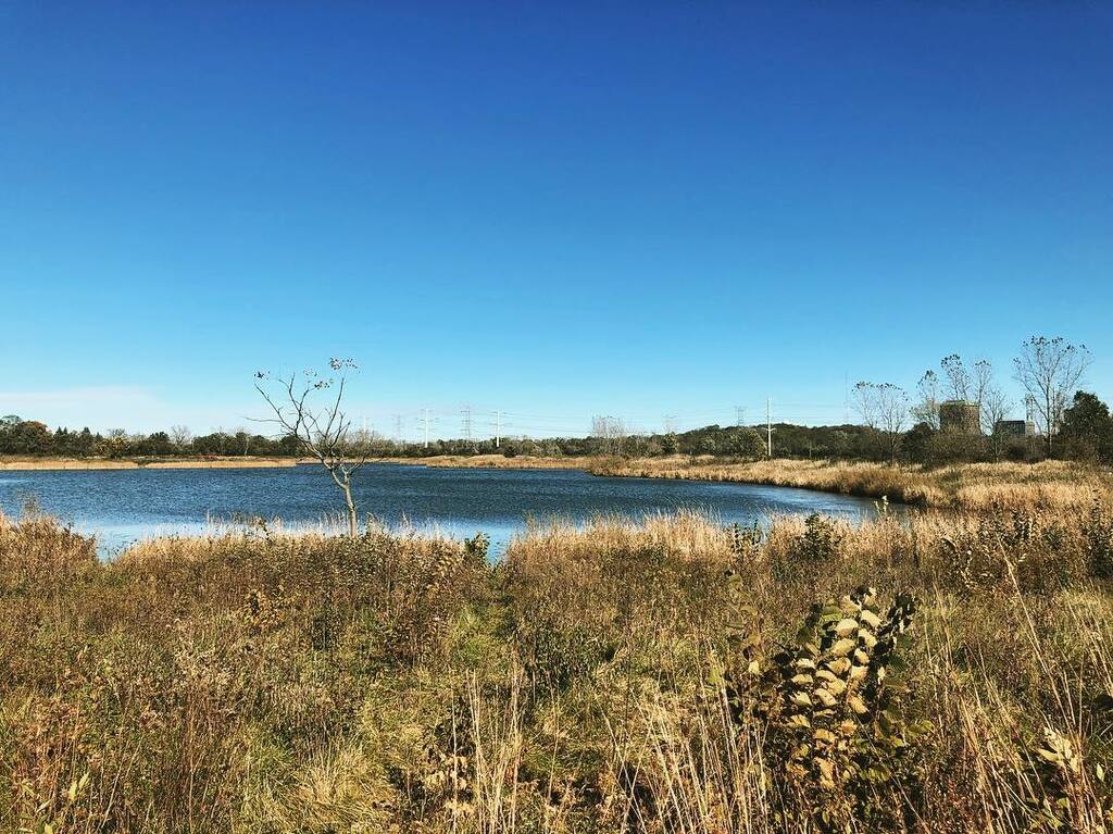 17 Best Things To Do In Downers Grove, Illinois Trip101