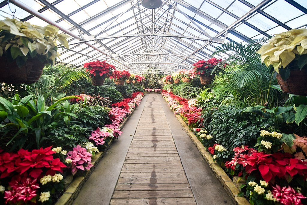 Rockefeller Park Greenhouse (23595467629)