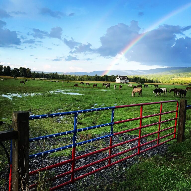 romantic things to do in west virginia | enjoy horseback riding with mountain trail rides