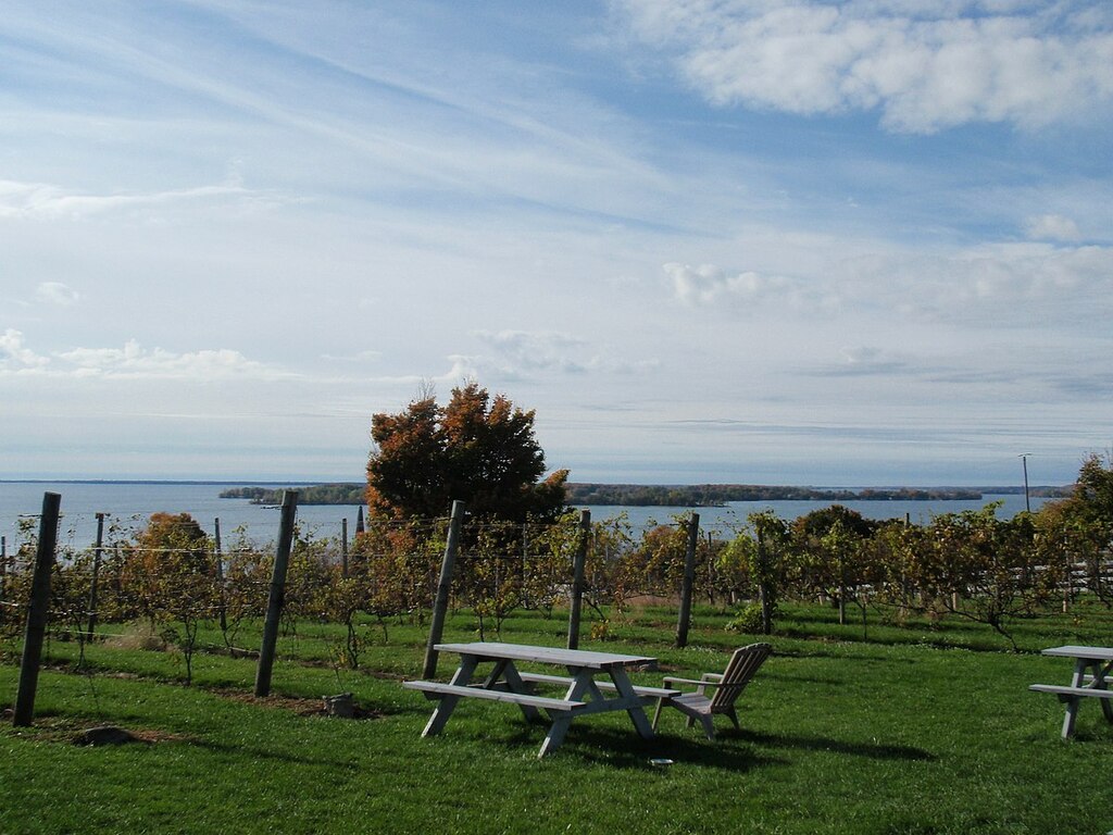 Winery, Prince Edward County 