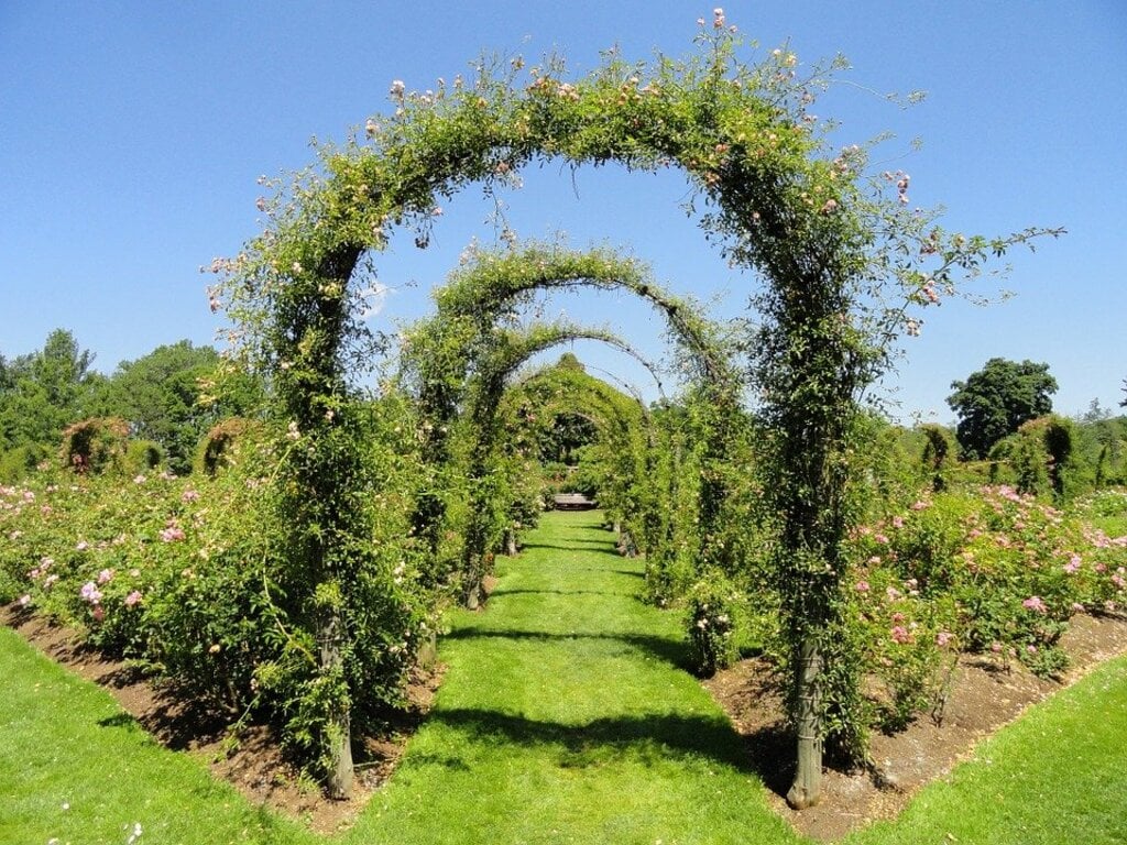 Botanical Garden