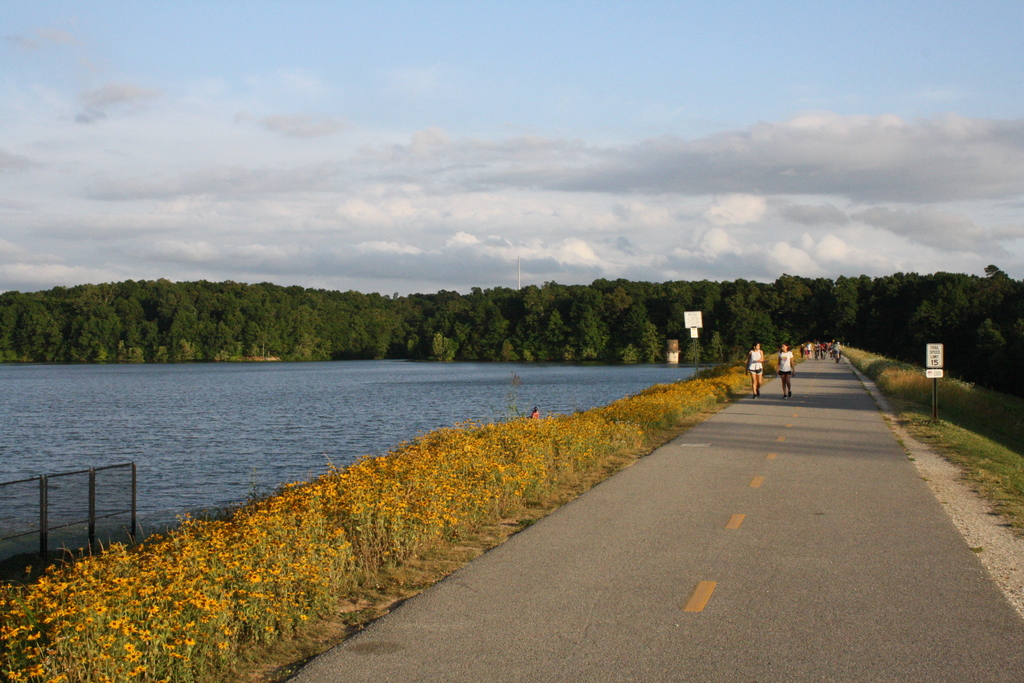 Top 13 Things To Do In Fayetteville, Arkansas Trip101