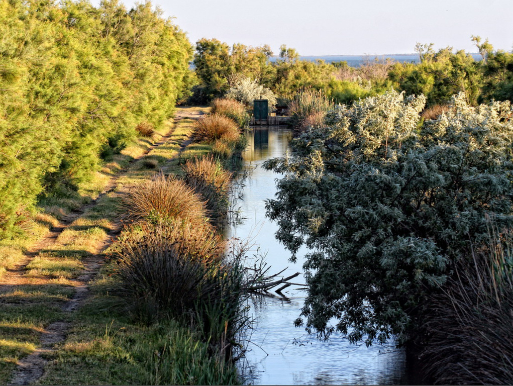 Parc régional de Camargue
