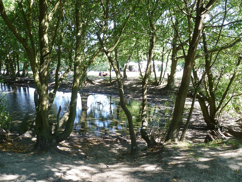 Trent Country Park pond near Go Ape